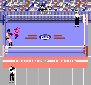 Pro Wrestling (USA) (Rev 1) screen shot game playing